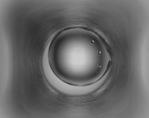 X0000113310985200909141308