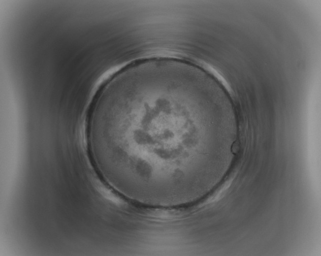 X0000113310987200909141308