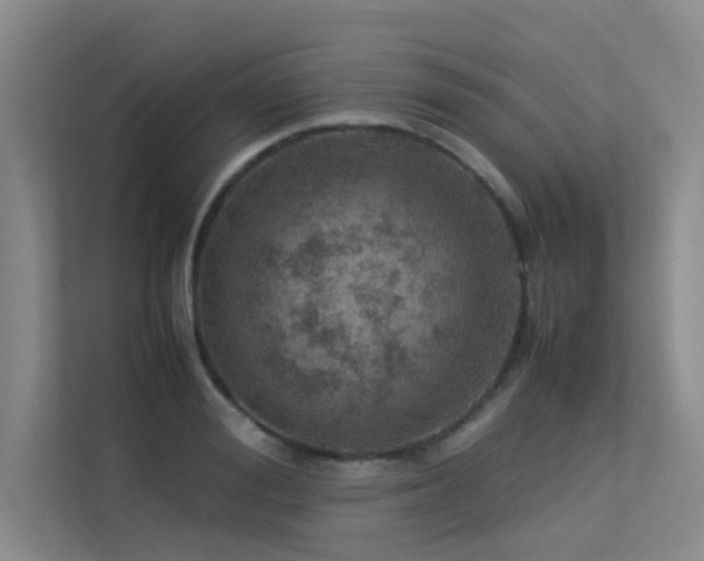 X0000113310988200909141308