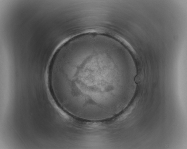 X0000113310991200909141308