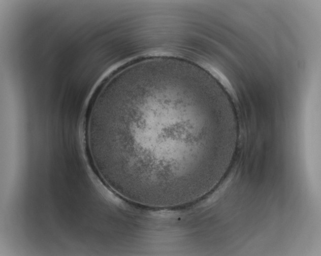 X0000113310992200909141308