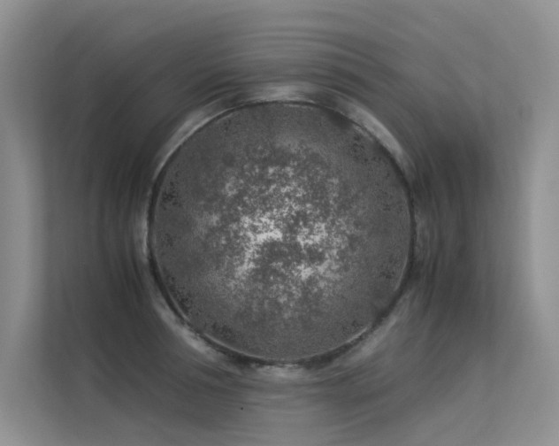 X0000113310994200909141308