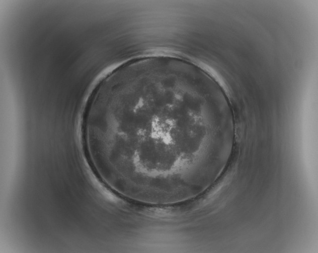 X0000113310995200909141308