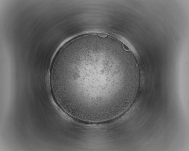 X0000113310996200909141308