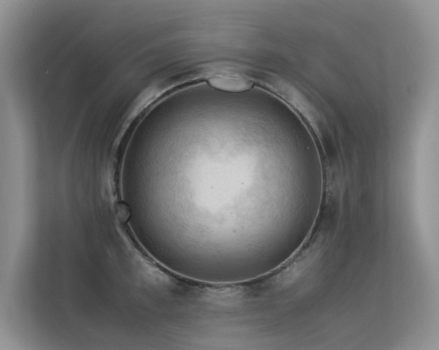 X0000113310997200909141308