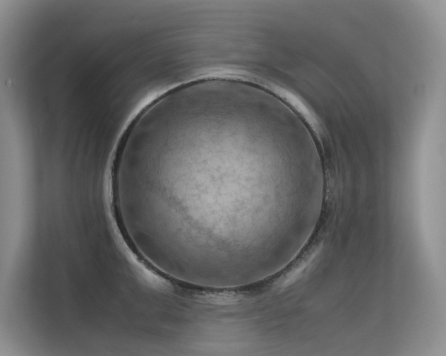 X0000113310999200909141308