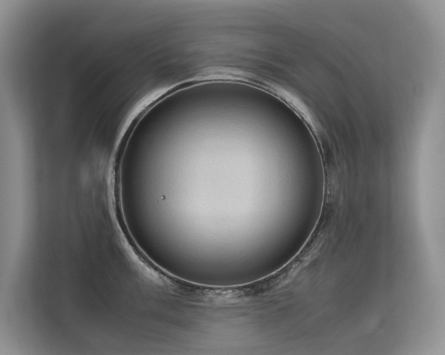 X0000113311003200909141308