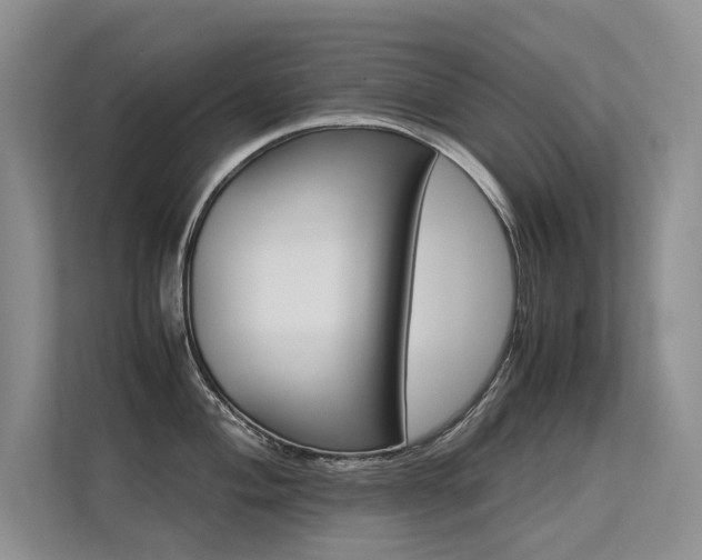 X0000113311004200909141308