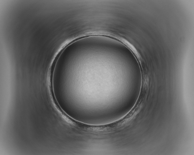 X0000113311005200909141308