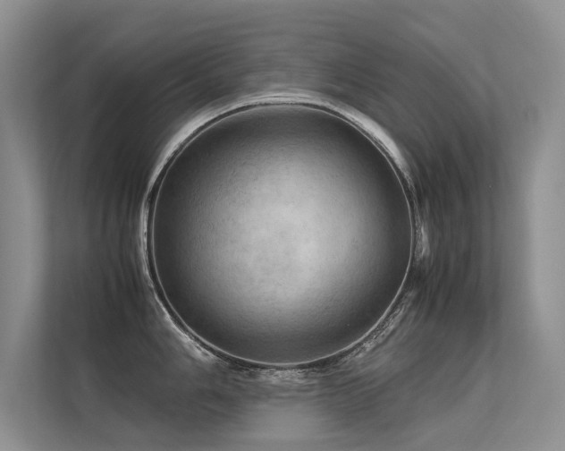 X0000113311006200909141308