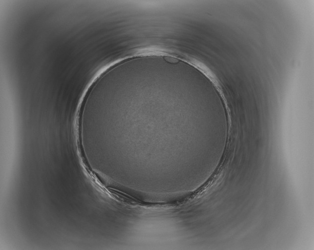 X0000113311008200909141308