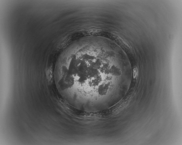 X0000113311011200909141307