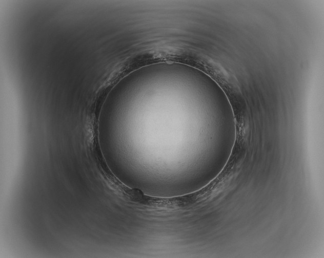 X0000113311012200909141307