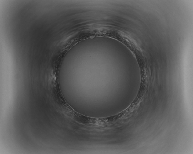 X0000113311013200909141307