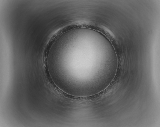 X0000113311016200909141307