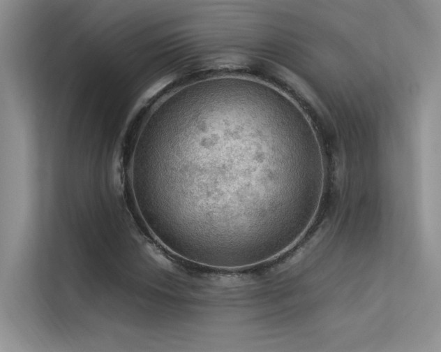 X0000113311018200909141307