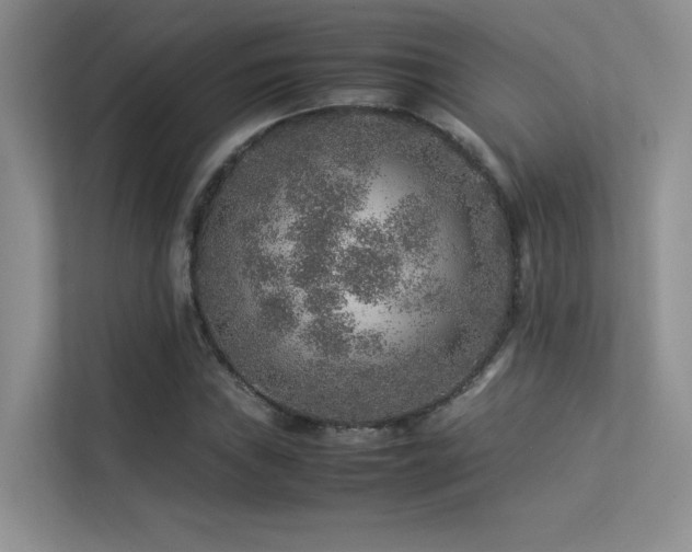 X0000113311019200909141307