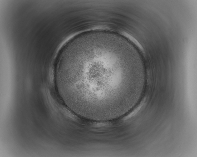 X0000113311021200909141307