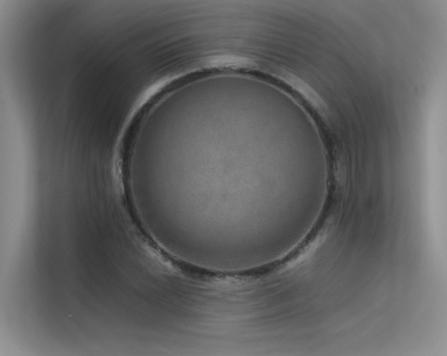 X0000113311022200909141307