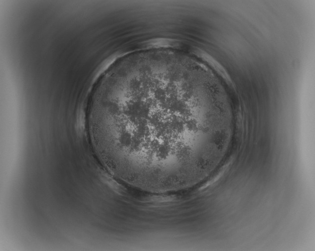 X0000113311023200909141307