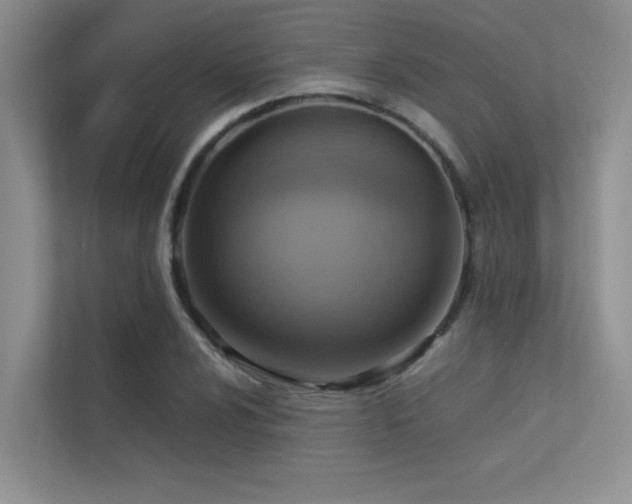 X0000113311024200909141307