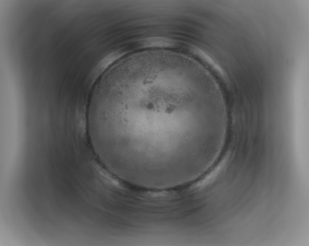 X0000113311025200909141307