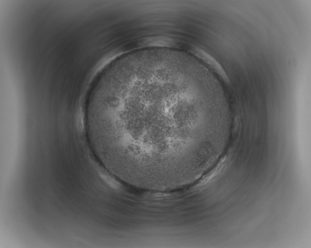 X0000113311027200909141307