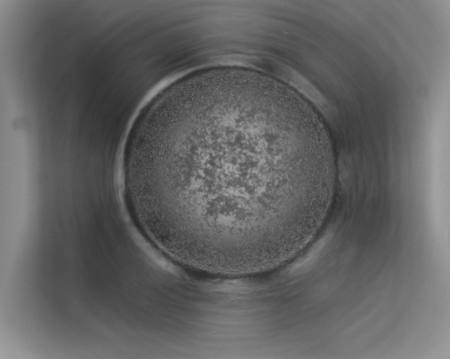 X0000113311028200909141307