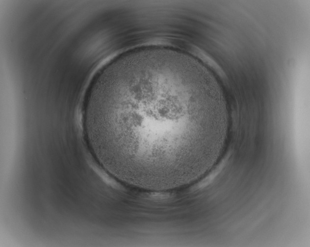 X0000113311029200909141307