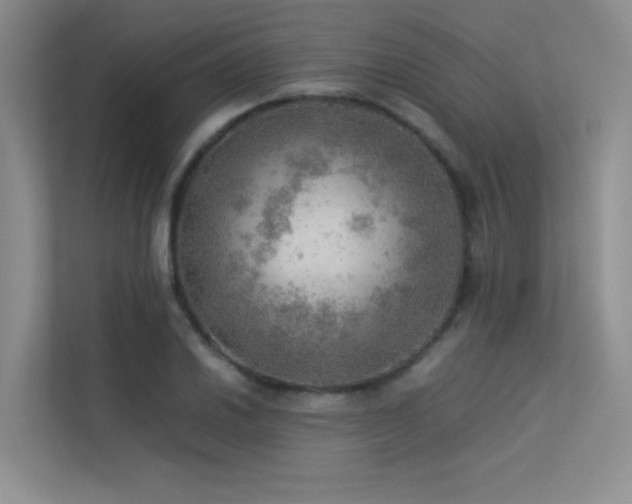 X0000113311030200909141307