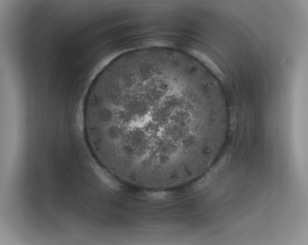 X0000113311031200909141307