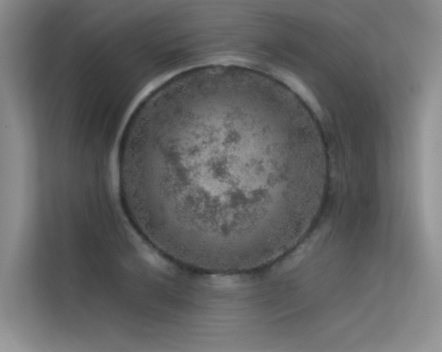 X0000113311032200909141308