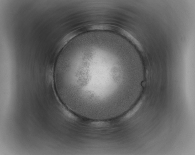 X0000113311033200909141308