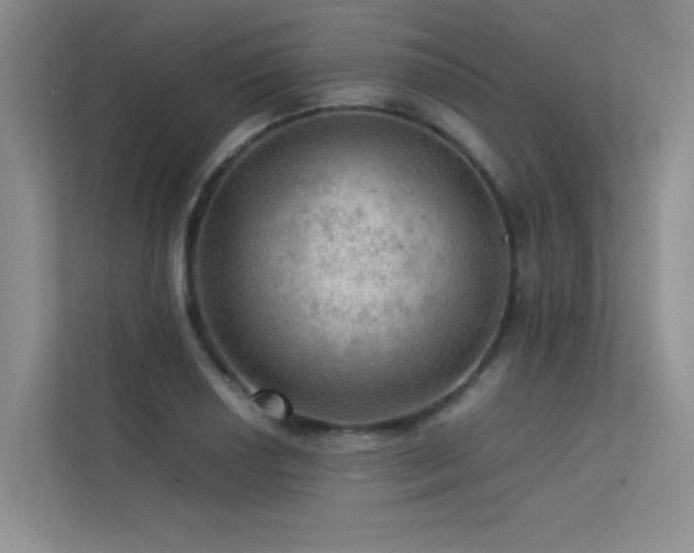 X0000113311034200909141308