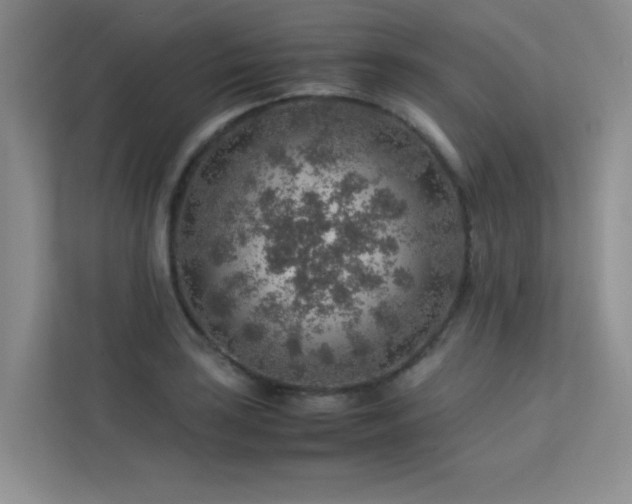 X0000113311035200909141308