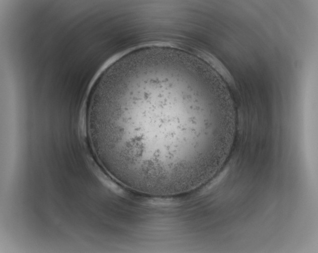 X0000113311036200909141308