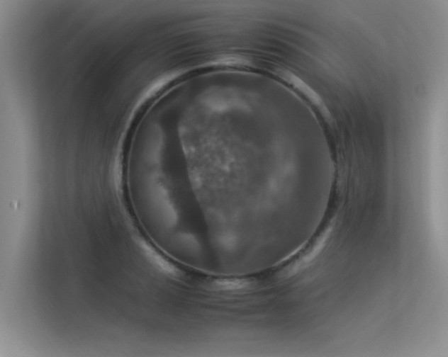 X0000113311037200909141308