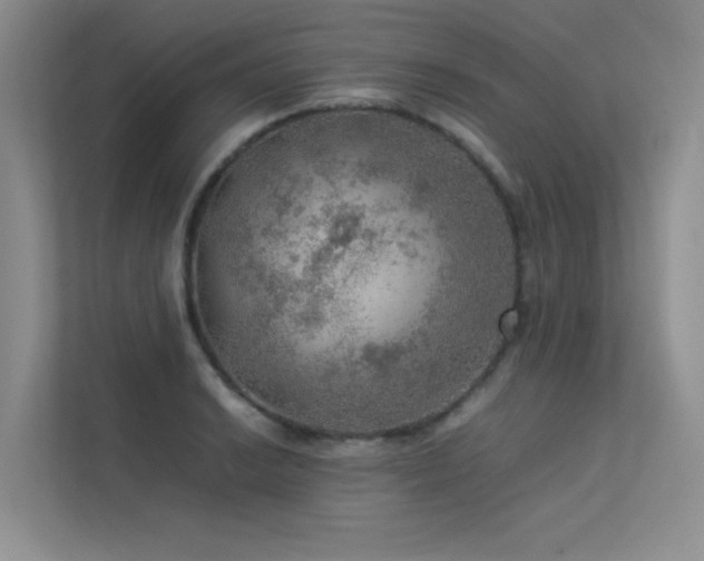 X0000113311038200909141308