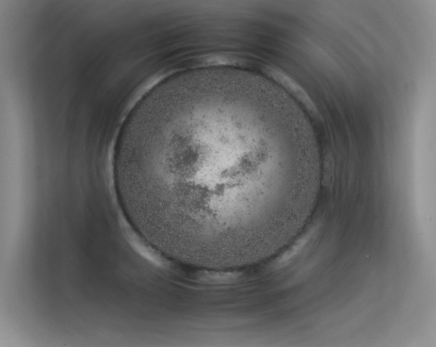 X0000113311039200909141308