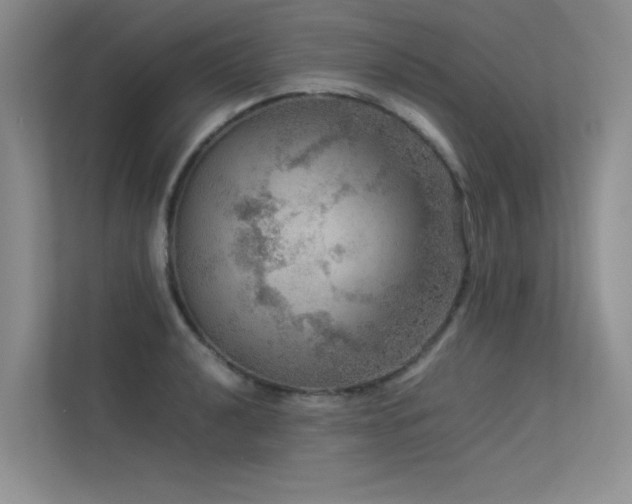 X0000113311040200909141308