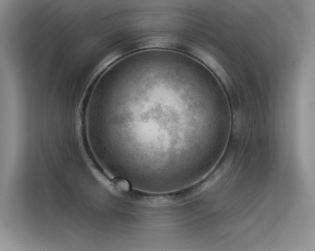 X0000113311042200909141308