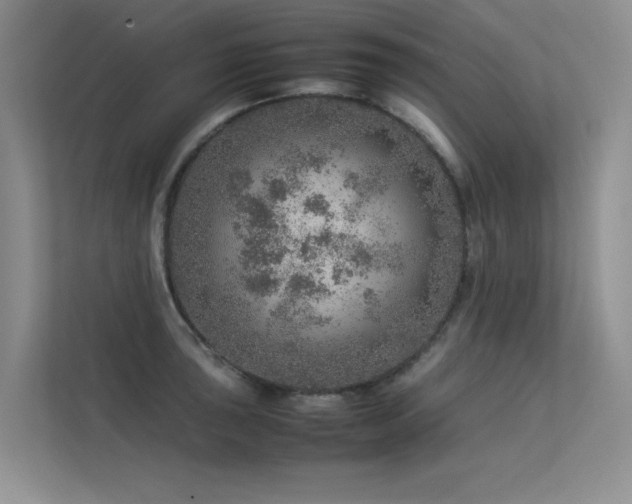 X0000113311043200909141308