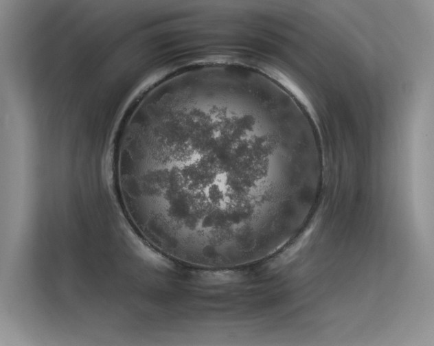 X0000113311045200909141308