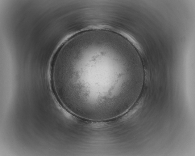 X0000113311046200909141308