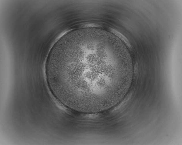 X0000113311047200909141308