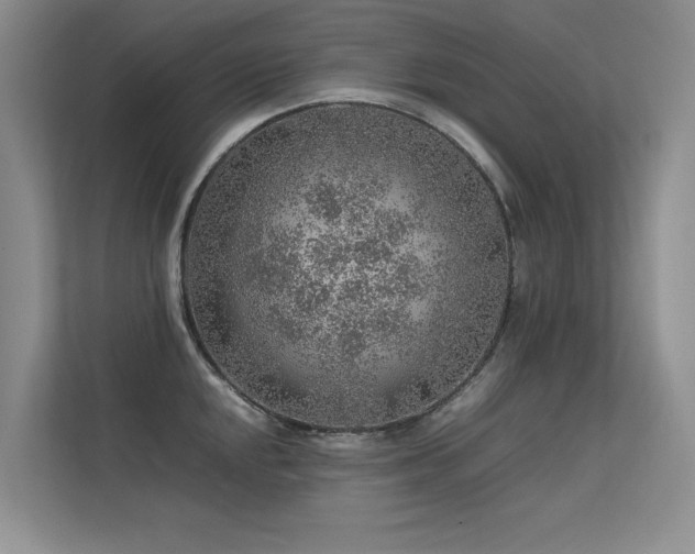 X0000113311048200909141308