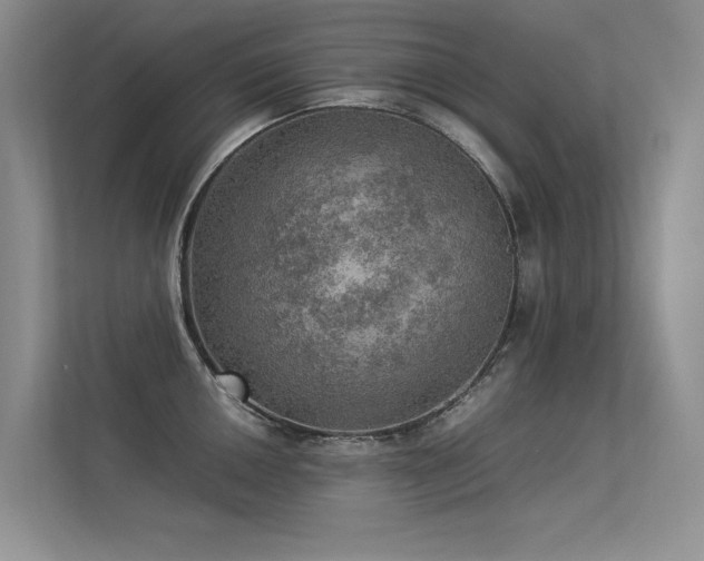 X0000113311050200909141308