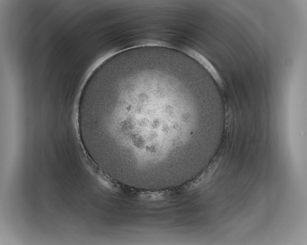 X0000113311051200909141308