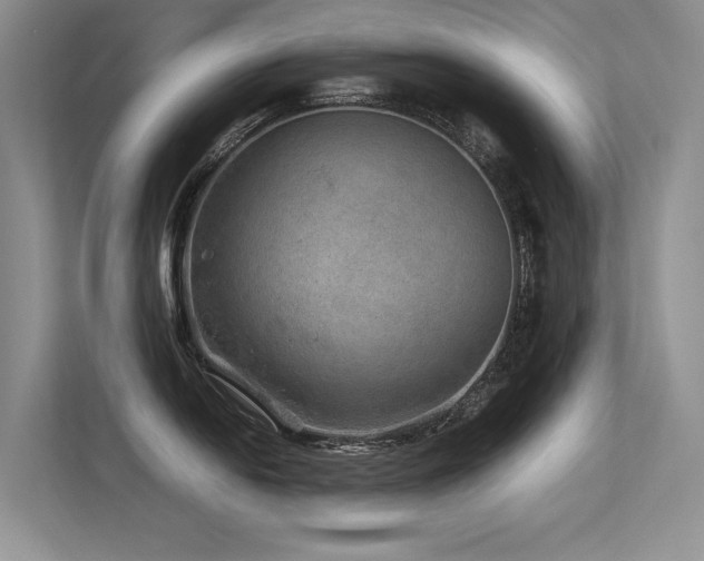 X0000113311054200909141308