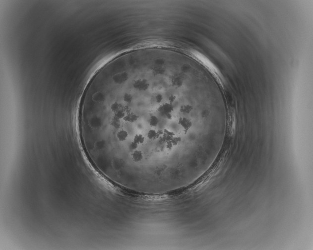 X0000113311055200909141308